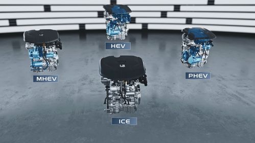 15年后無純?nèi)加蛙?新能源技術(shù)路線2.0 發(fā)布 這家車企眼光太牛了